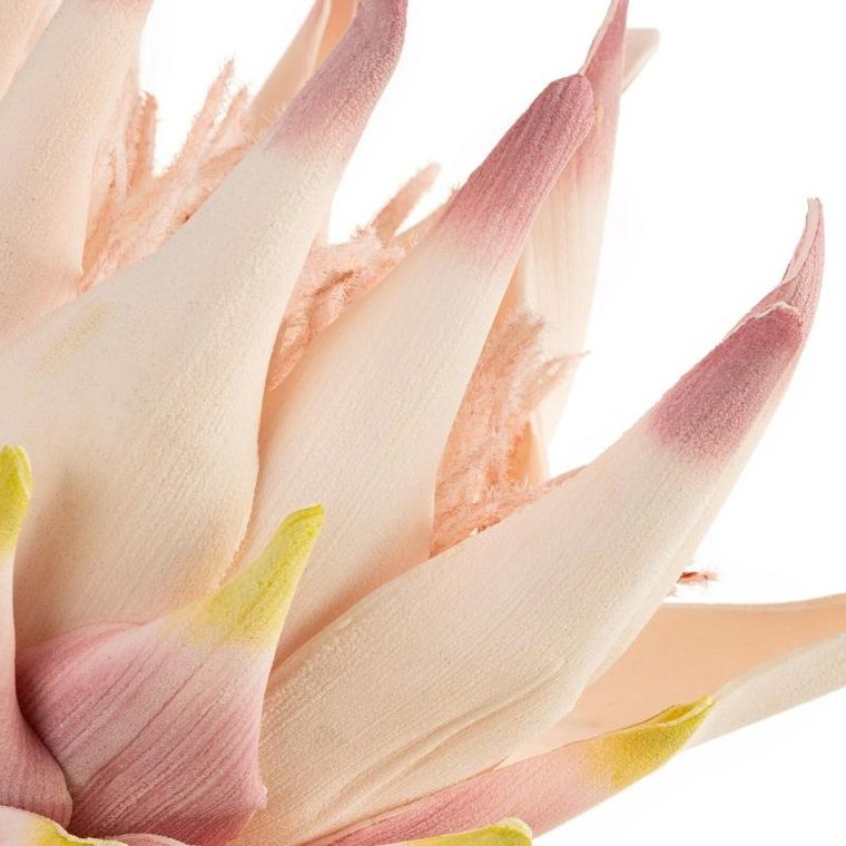 Eurofirany, kwiat Flore, różowy