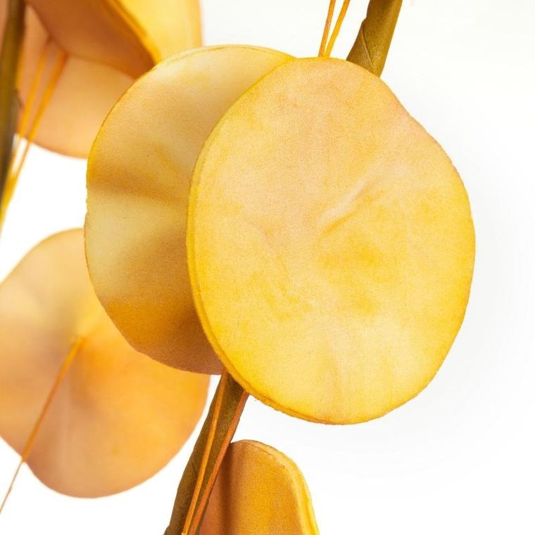 Eurofirany, kwiat Flore, żółty