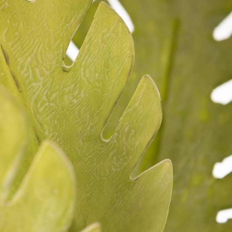 Eurofirany, kwiat liść, długość 56 cm, długość liść 22 cm, jasnozielony