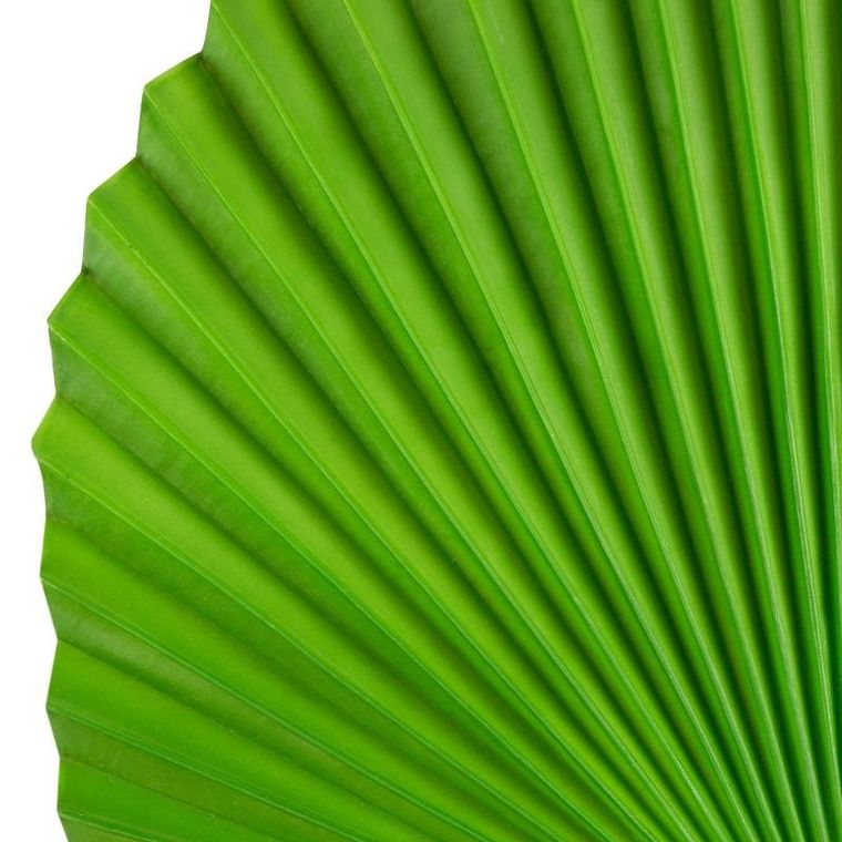 Eurofirany, kwiat liść, długość 83 cm, długość liść 38 cm, zielony
