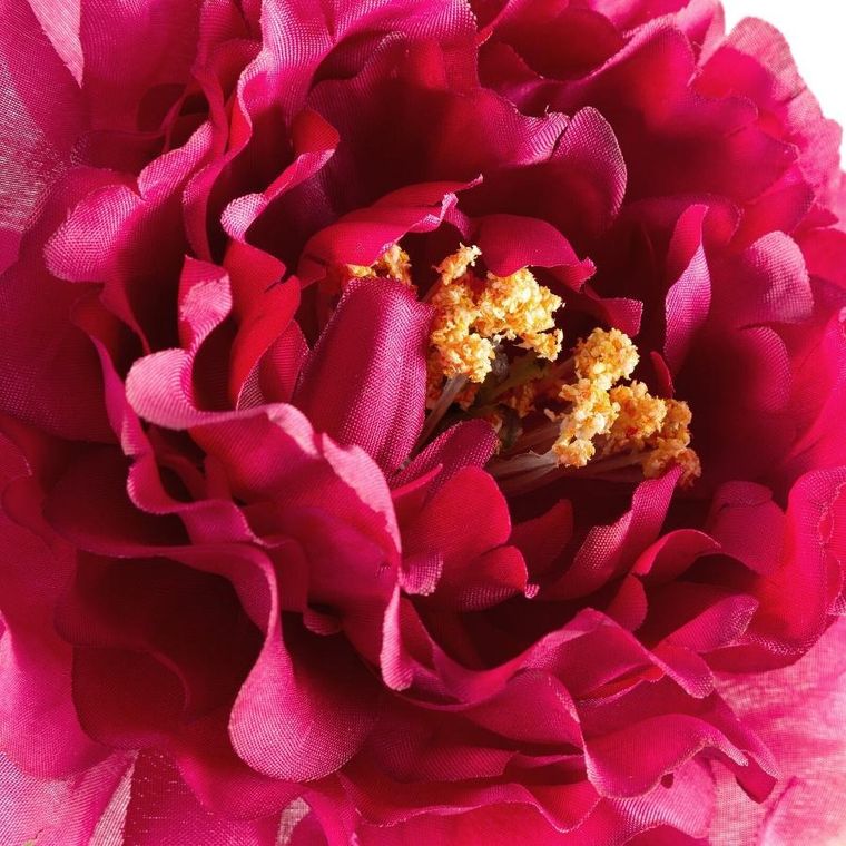 Eurofirany, kwiat natu, 30-70 cm, amarantowy