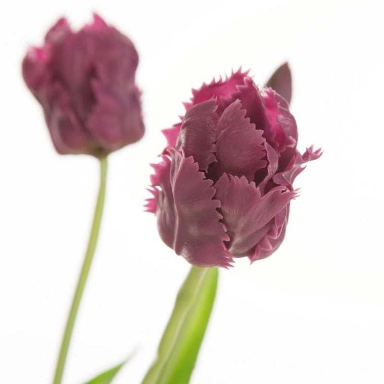 Eurofirany, kwiat natu, 43 cm, fioletowy