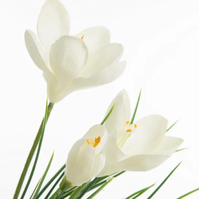 Eurofirany, kwiat natu 468 30 cm, kremowy