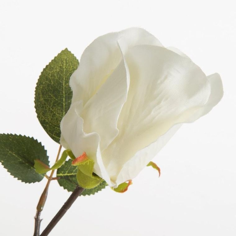 Eurofirany, kwiat Natu, 53 cm, kremowy