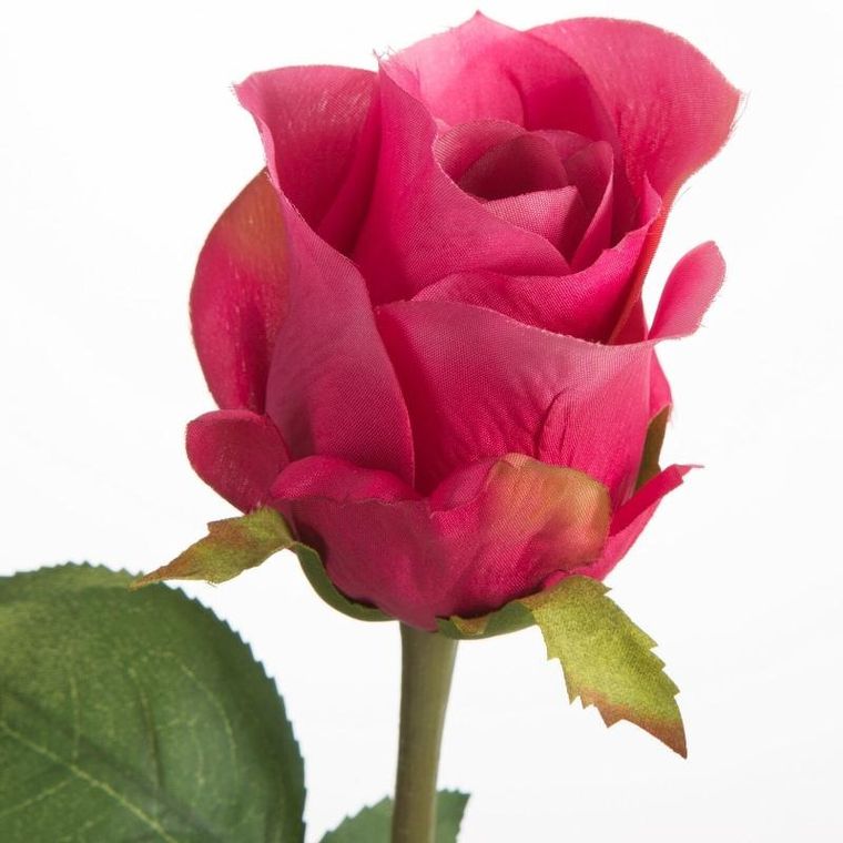 Eurofirany, kwiat Natu, 55 cm, amarantowy