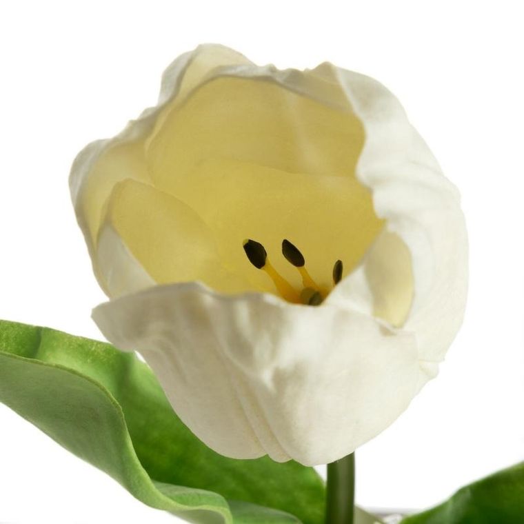 Eurofirany, kwiat natu, 56 cm, biały