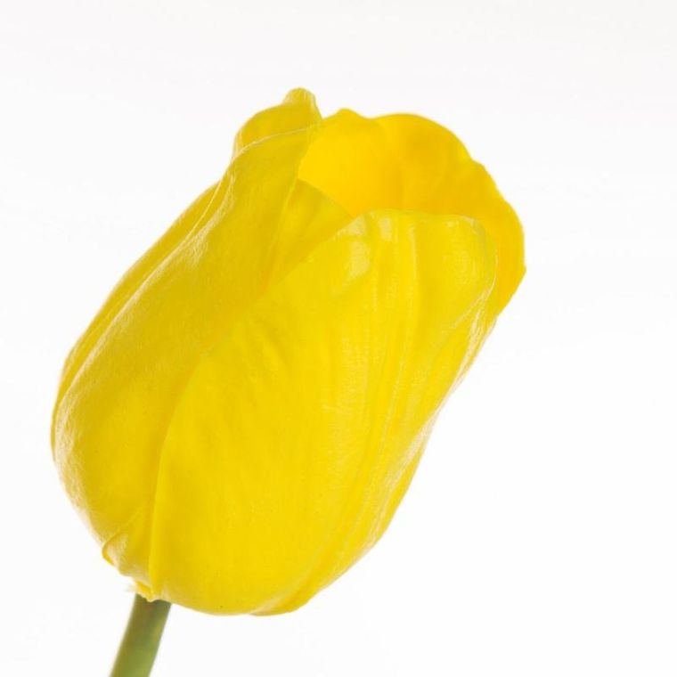 Eurofirany, kwiat natu, 56 cm, żółty