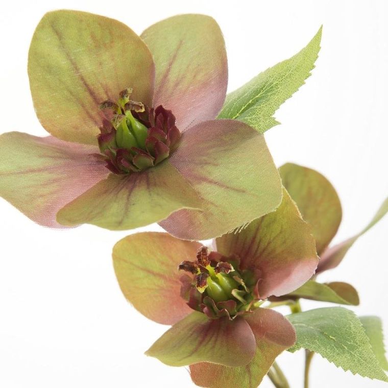 Eurofirany, kwiat Natu, 57 cm, zielony