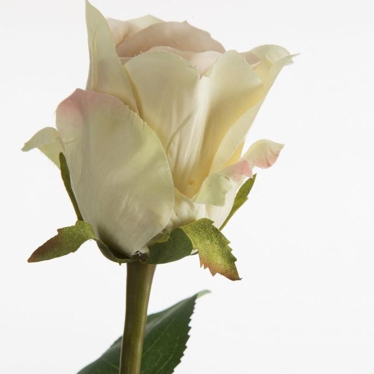 Eurofirany, kwiat Natu, 68 cm, kremowy