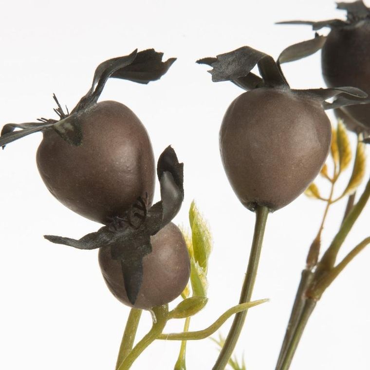 Eurofirany, kwiat Natu, 74 cm, brązowy