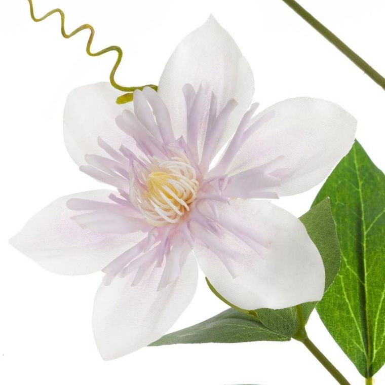 Eurofirany, kwiat Natu, biały