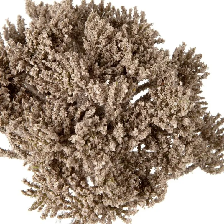 Eurofirany, kwiat Natu, ciemnobeżowy