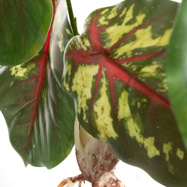 Eurofirany, kwiat Natu, długość 45 cm, długość liść 16 cm, ciemnozielony