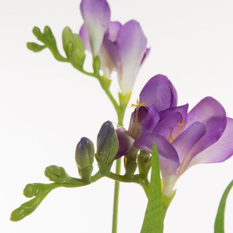 Eurofirany, kwiat Natu, długość 60 cm, długość kwiatu 20 cm, długość kwiatu 10 cm, fioletowy