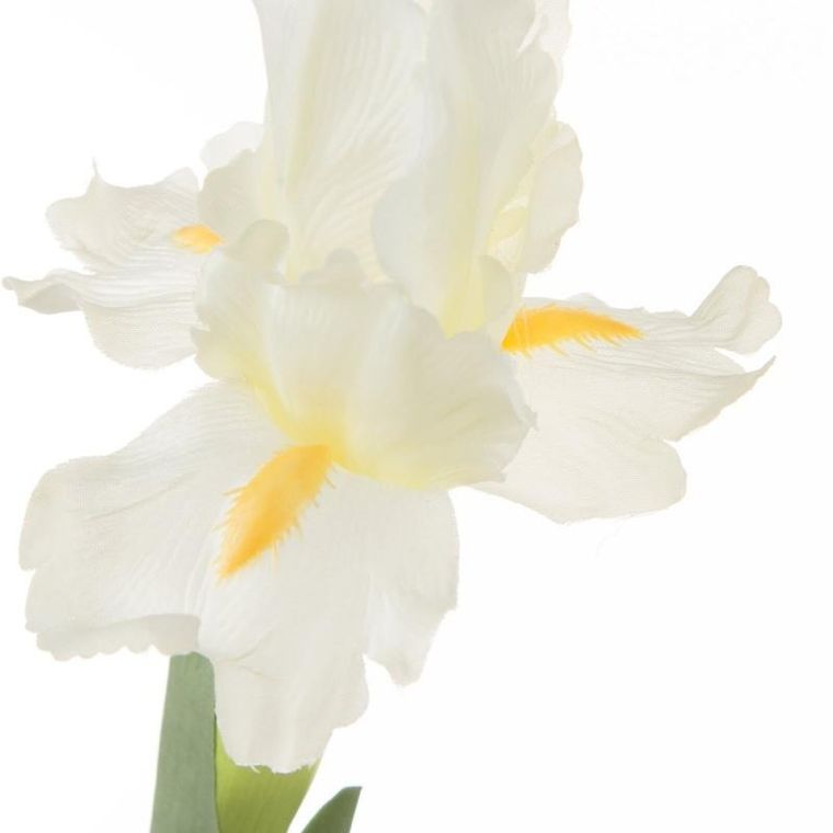 Eurofirany, kwiat Natu, długość 70 cm, długość kwiatu 11 cm, kremowy