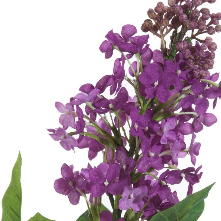 Eurofirany, kwiat Natu, fioletowy