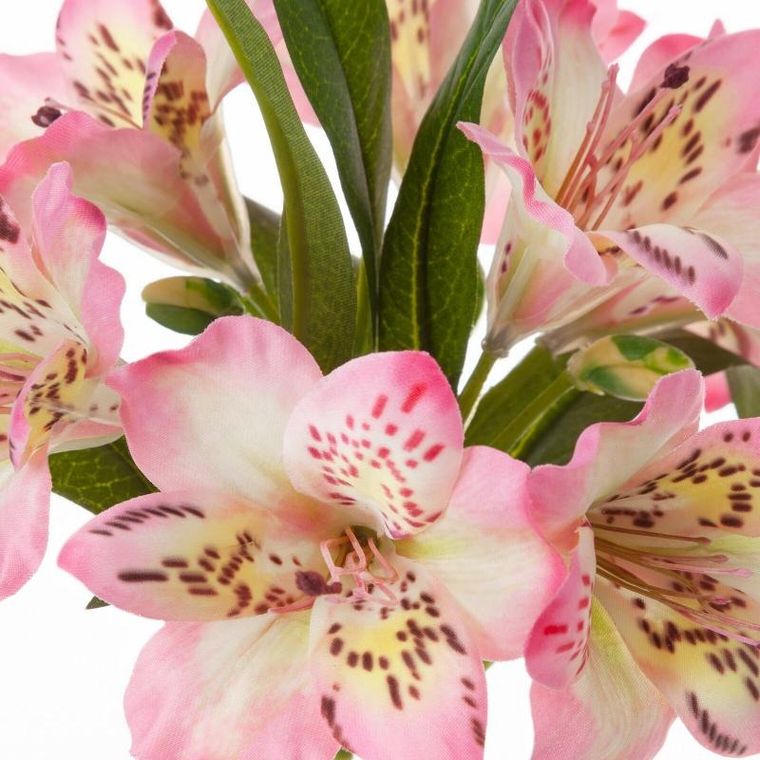 Eurofirany, kwiat Natu, jasnoróżowy