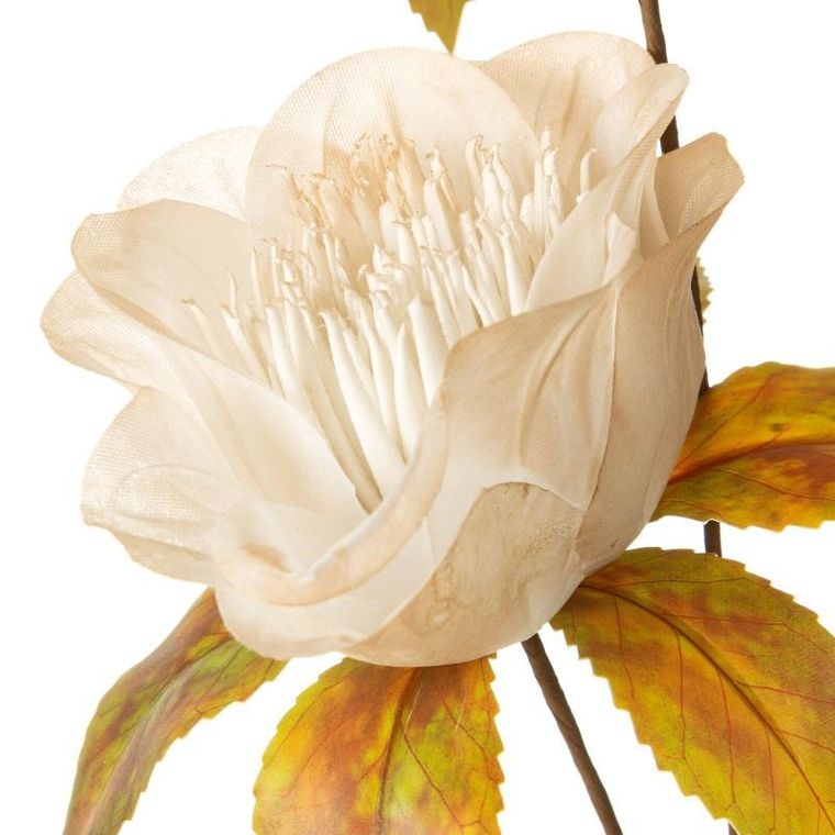 Eurofirany, kwiat natu, kremowy