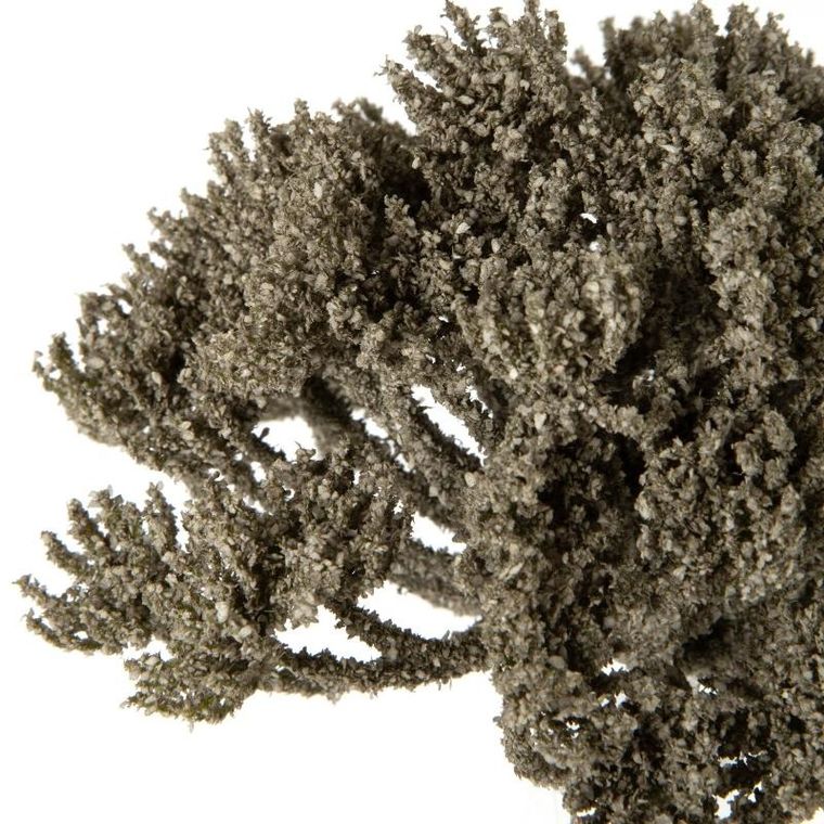 Eurofirany, kwiat Natu, szarobeżowy