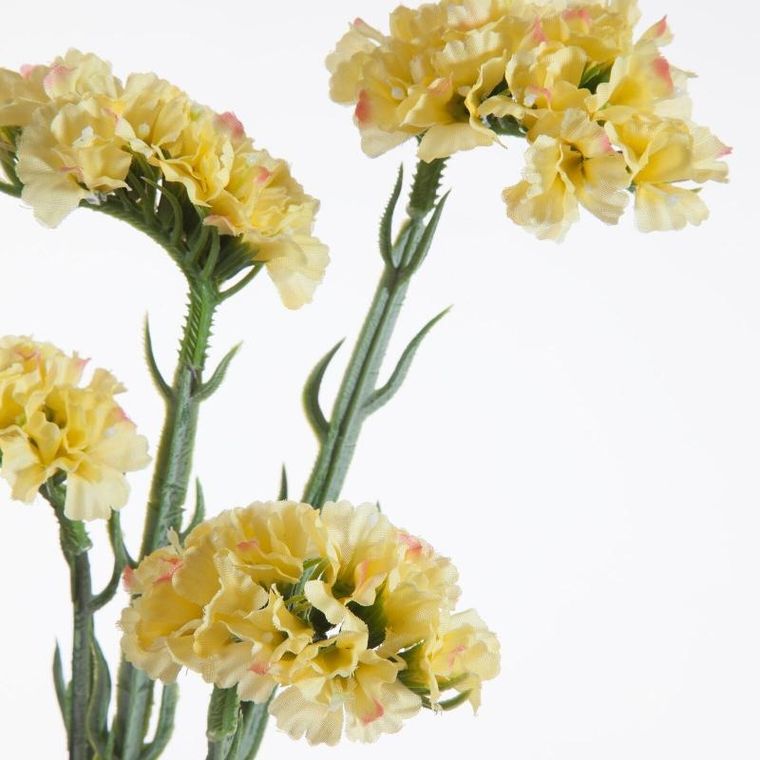 Eurofirany, kwiat Natu, żółty