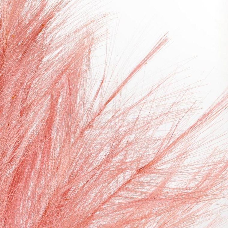 Eurofirany, kwiat wianek