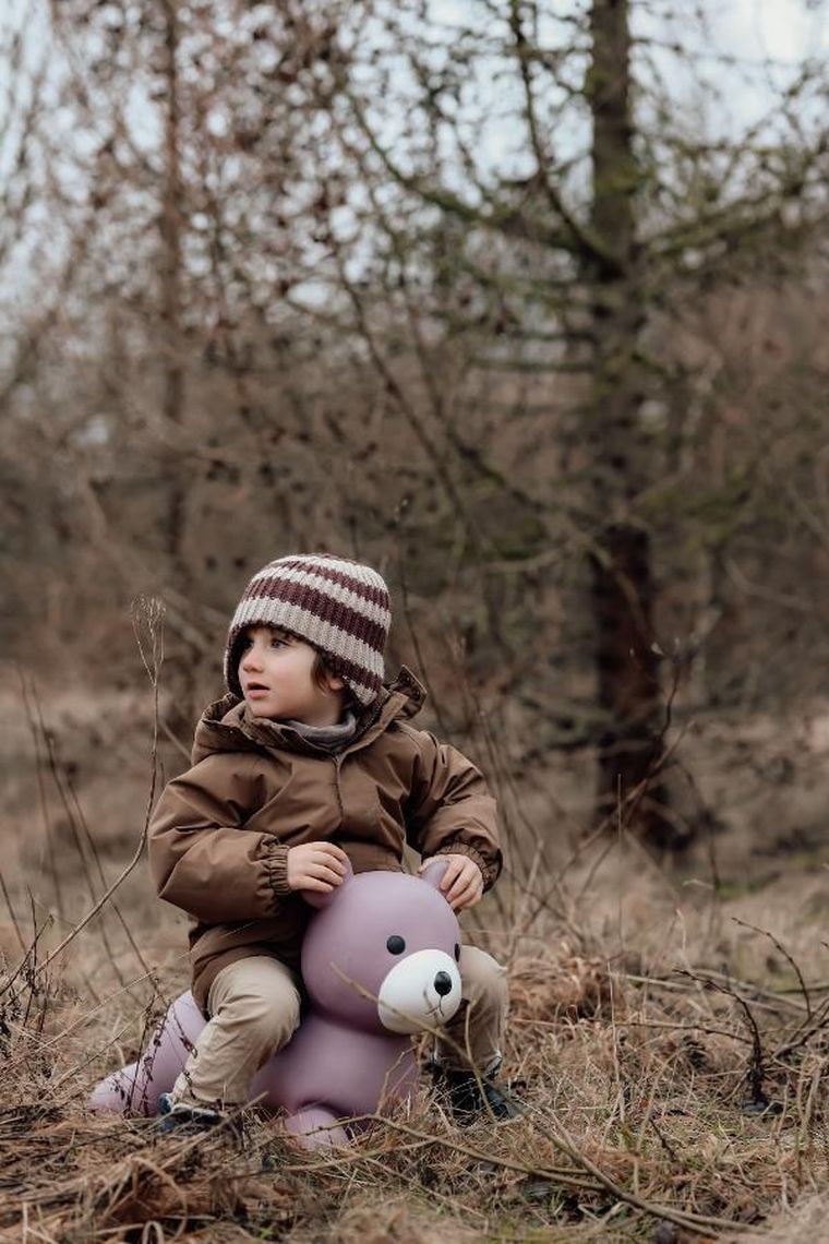 Find that Hippo, Miś, skoczek