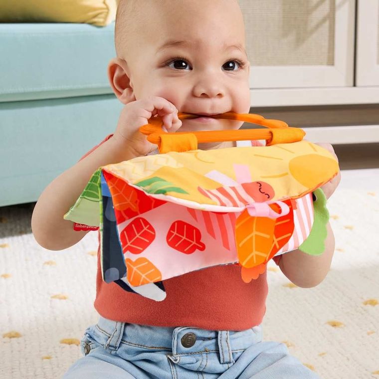 Fisher-Price, Pory roku, miękka książeczka sensoryczna