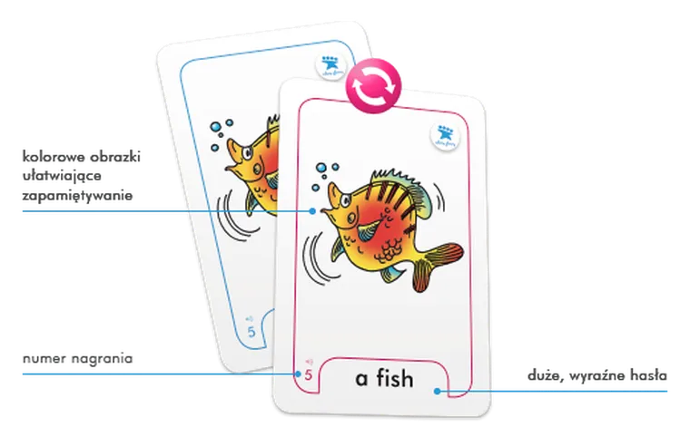 Fiszki obrazkowe. Angielski dla starszaka