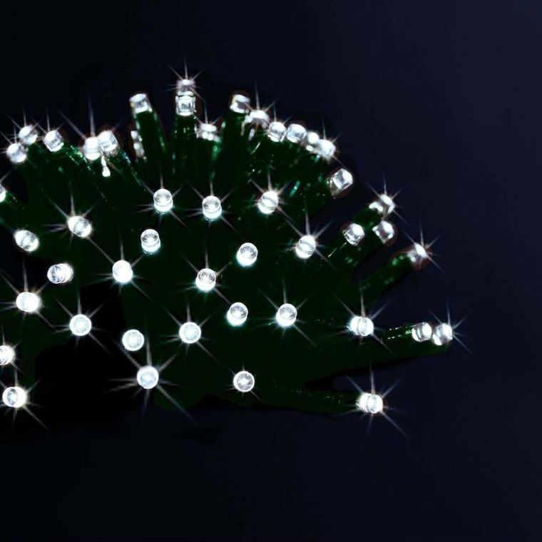 Fééric Lights and Christmas, dekoracyjne lampki świąteczne, 100 LED, białe