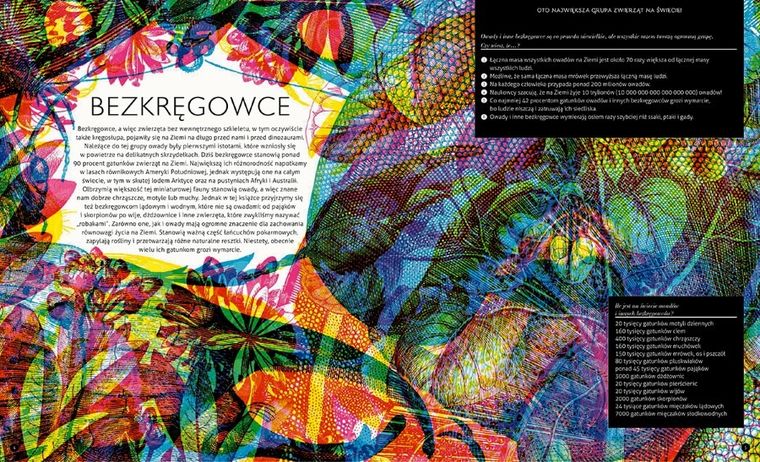 Gabinet owadów (i innych małych stworzeń)