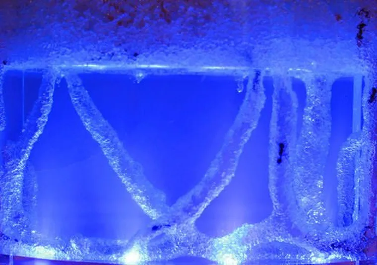 Gadget Master, akwarium dla mrówek, podświetlane LED