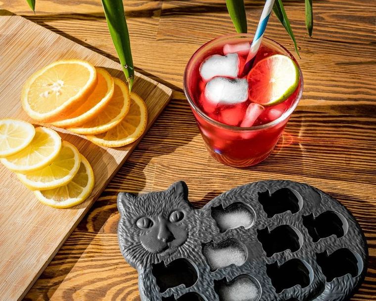 Gadget Master, foremka na lód i czekoladę, kociaki