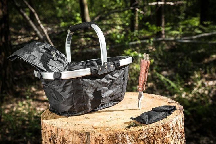 Gadget Master, niezbędnik grzybiarza