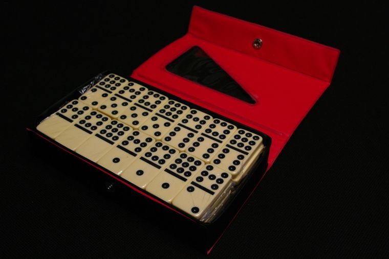 Grapet, Double 9 Dominoes, gra logiczna