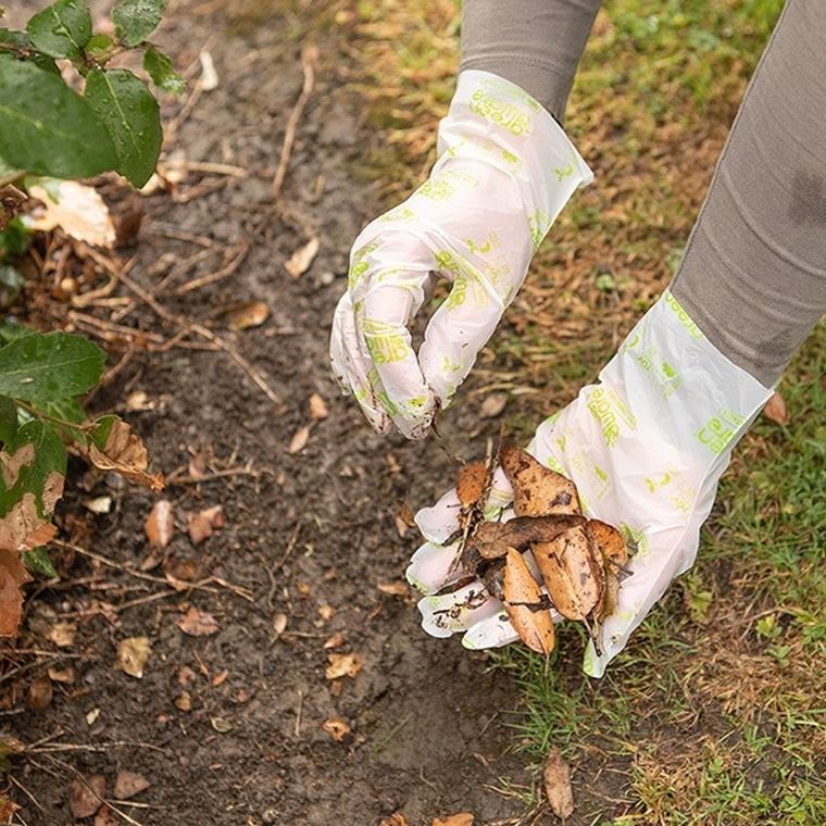 GreenAware, kompostowalne rękawiczki jednorazowe, rozmiar L, 20 szt.
