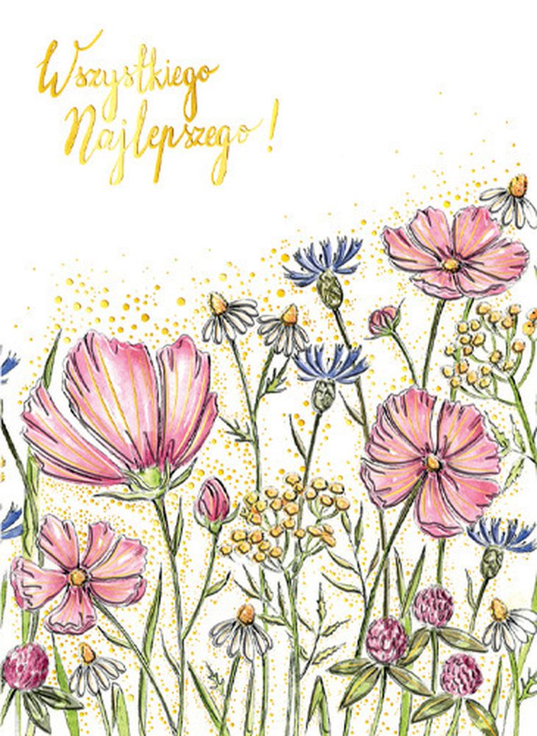 Henry, karnet B6, Kwiaty polne