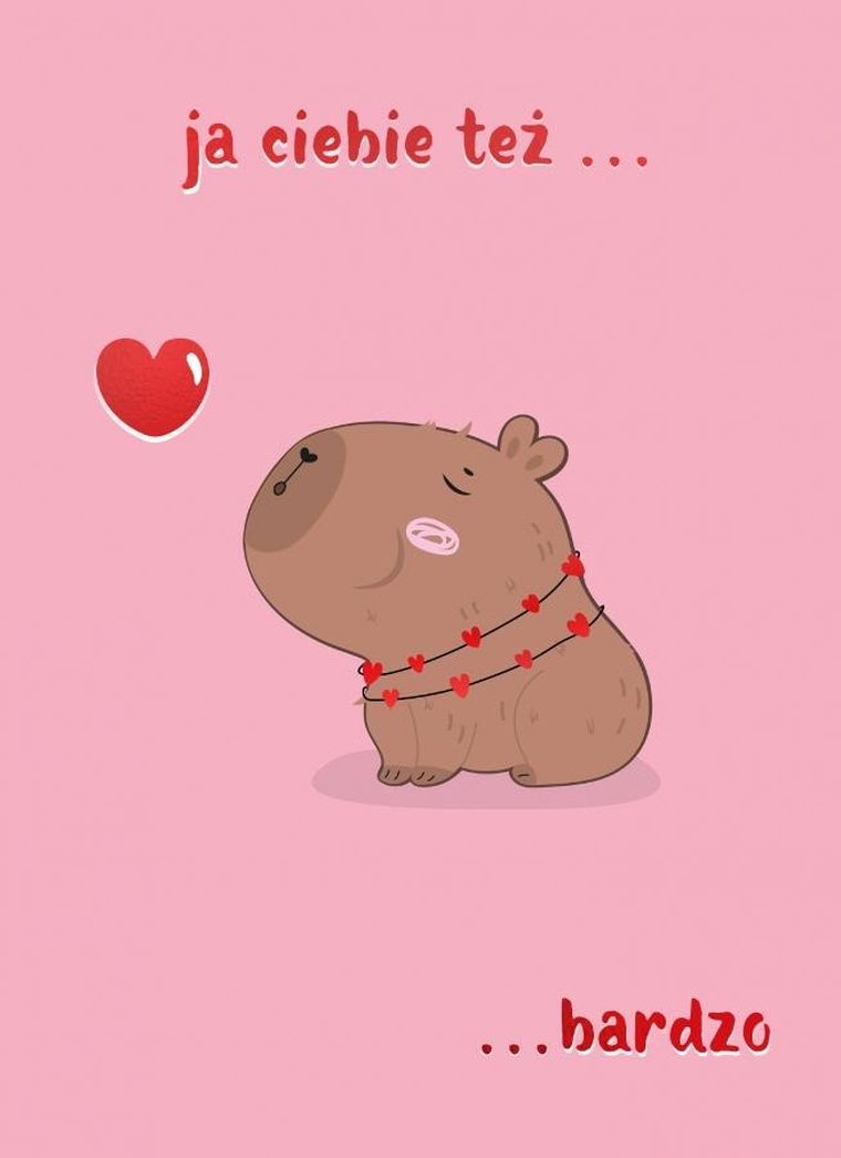 Henry, karnet B6, Walentynki, Kapibara