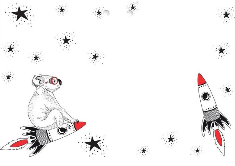 Henry, karnet okazjonalny z kopertą, B6, koala na odlotowcu