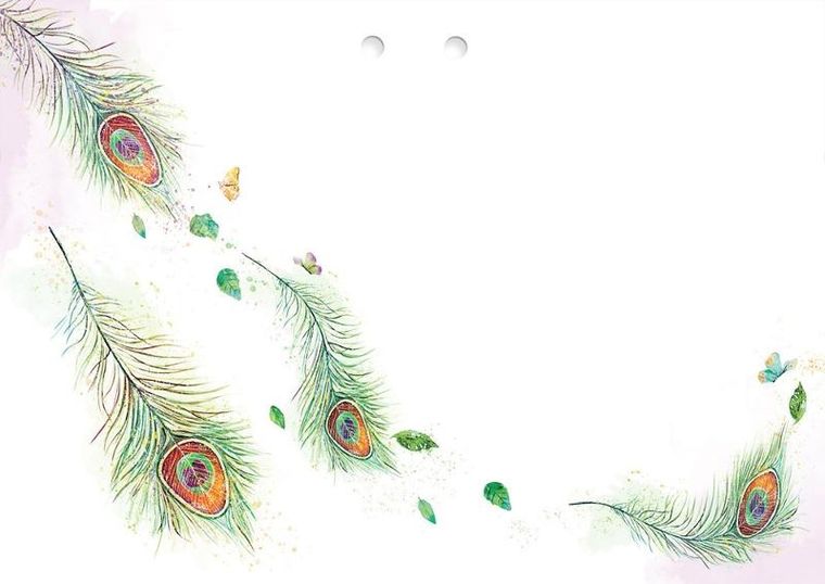 Henry, karnet okazjonalny z kopertą, B6, paw w kwiatach