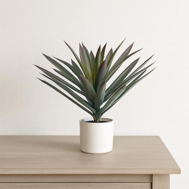 Home Styling Collection, Orno, sztuczna roślina dekoracyjna, agawa w białej doniczce, 40-50 cm