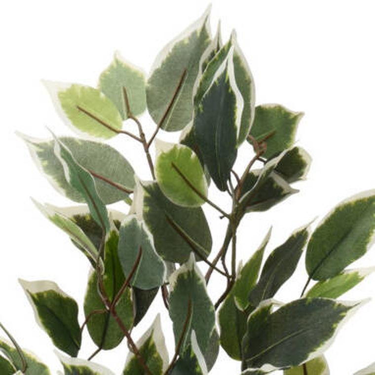 Home Styling Collection, sztuczna roślina w doniczce, 95 cm