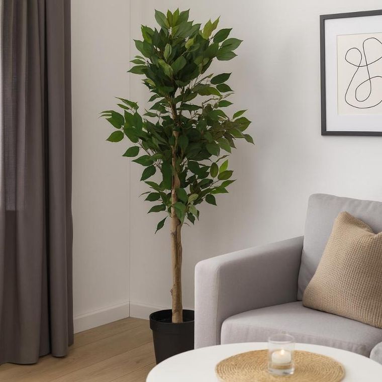 Home Styling Collection, sztuczne drzewko fikus w czarnej doniczce, 115 cm