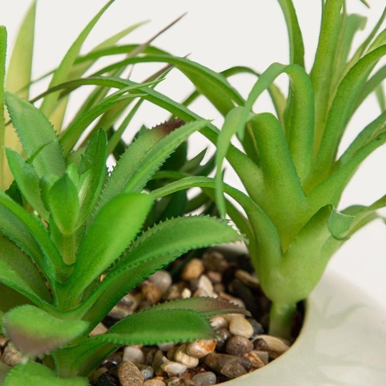 Homla, Accio, roślina sztuczna, sukulent w donicy, 19 cm