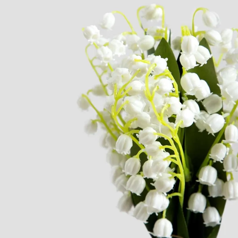 Homla, Convallie, bukiet kwiatów, konwalie, 30 cm
