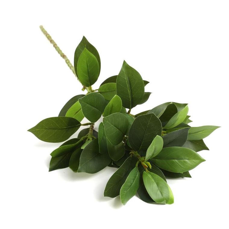 Homla, Edera, gałązka sztuczna, liście, 79 cm