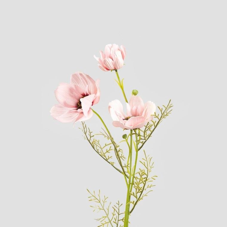 Homla, Emra, gałązka sztuczna, maki różowe, 76 cm