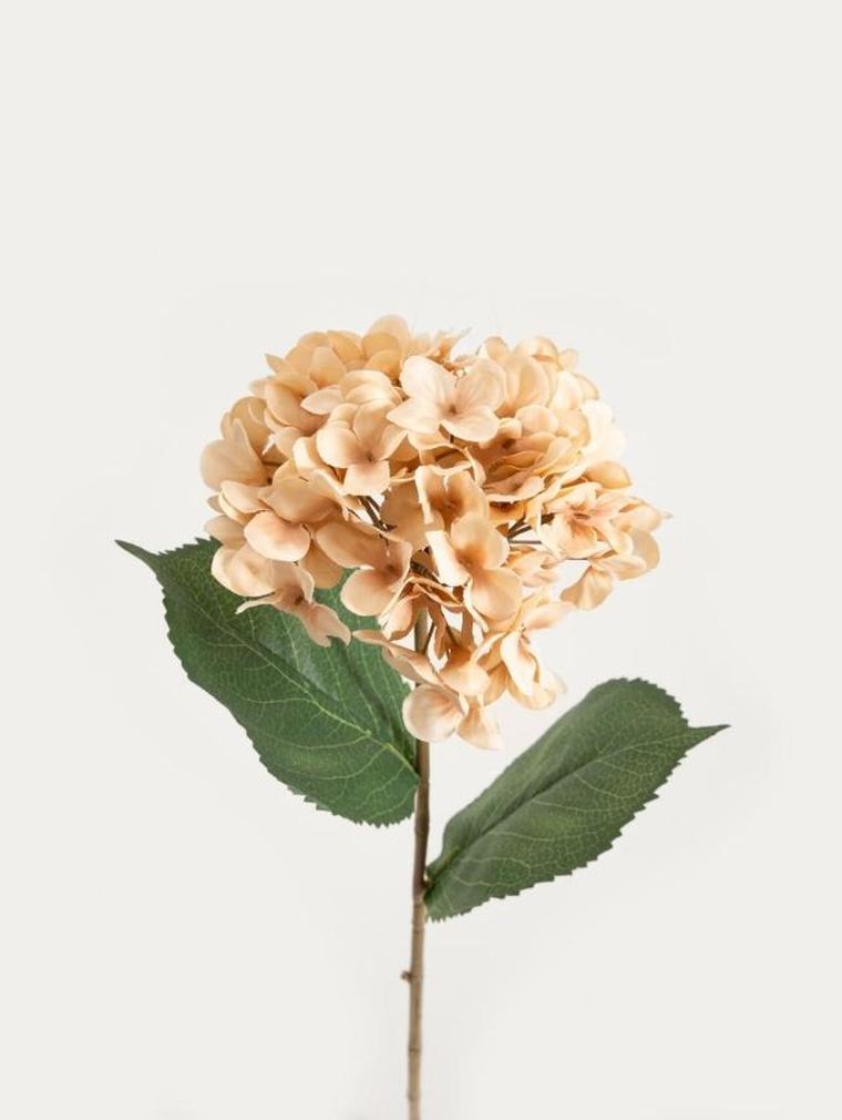 Homla, Fortens, gałązka sztuczna, hortensja beżowa, 52 cm