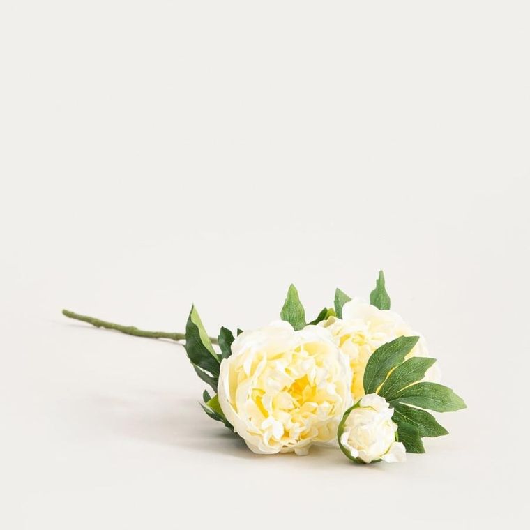 Homla, Paeonia, gałązka sztuczna, piwonie białe, 81 cm