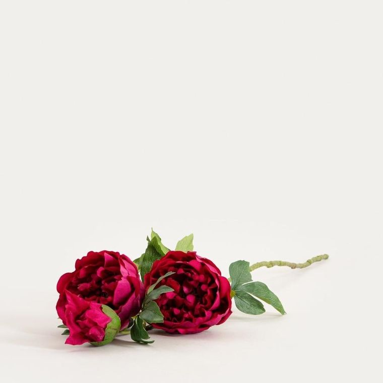 Homla, Paeonia, roślina sztuczna, piwonie ciemnoróżowe, 81 cm