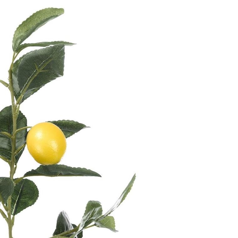 Ibergarden, dekoracyjne drzewko cytrynowe, 58 cm